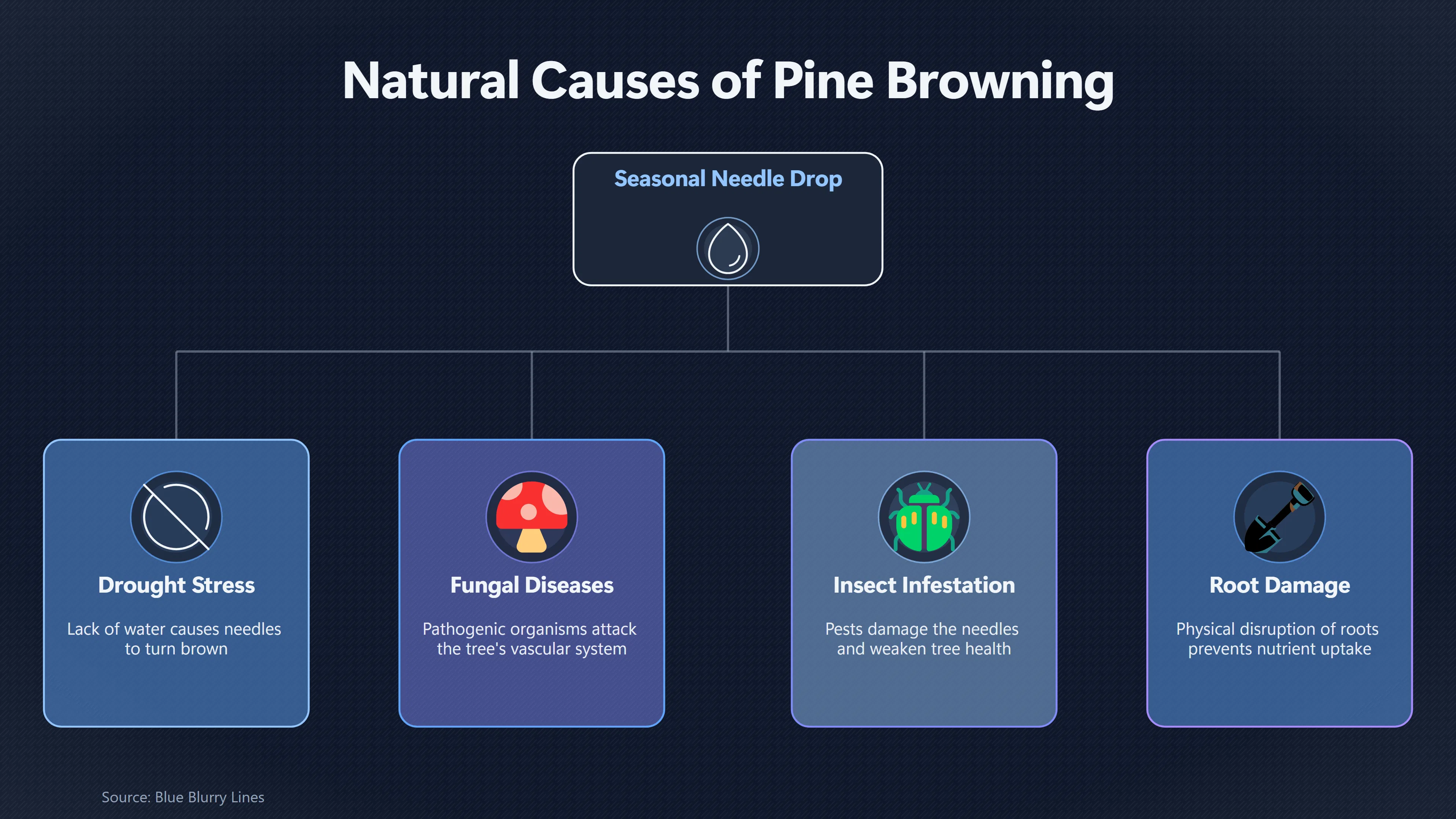 Overview image for Were the Brown Pines Really Burned by Heat? | Encounter Site